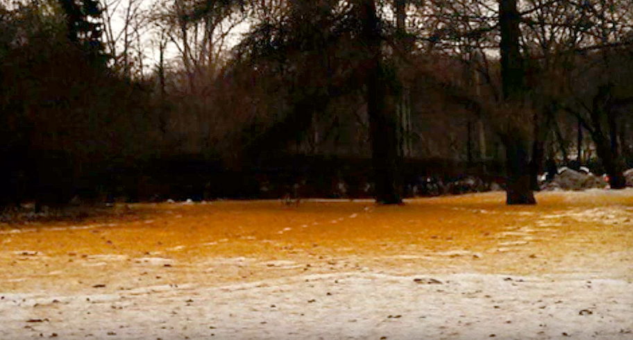 Zăpadă portocalie (audio)