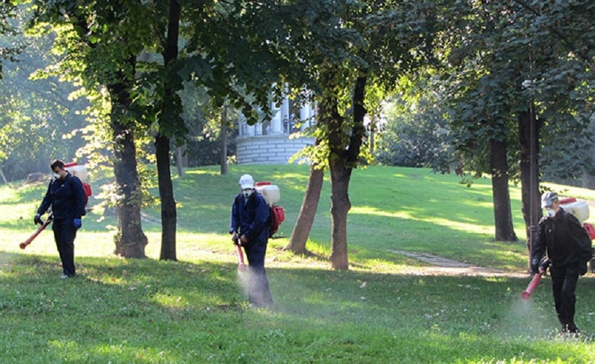 Craiova. Prima etapă a dezinsecției pe domeniul public