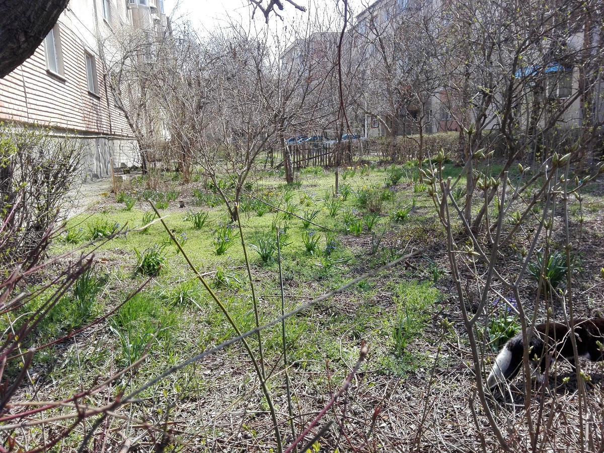 Azi despre ieri – 6 aprilie 2018