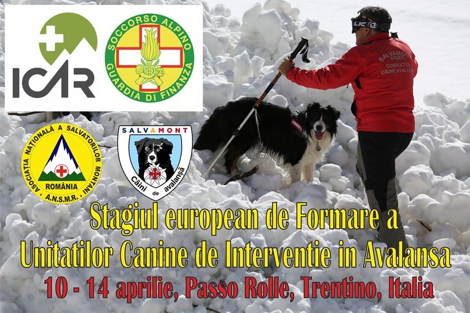 Doi salvatori montani români în Passo Rolle