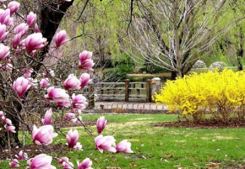 Vremea, astăzi, în Oltenia (audio)