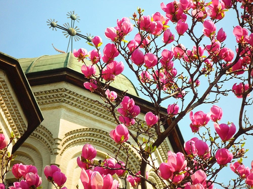 Vremea, 10/11 aprilie, în Oltenia (audio)