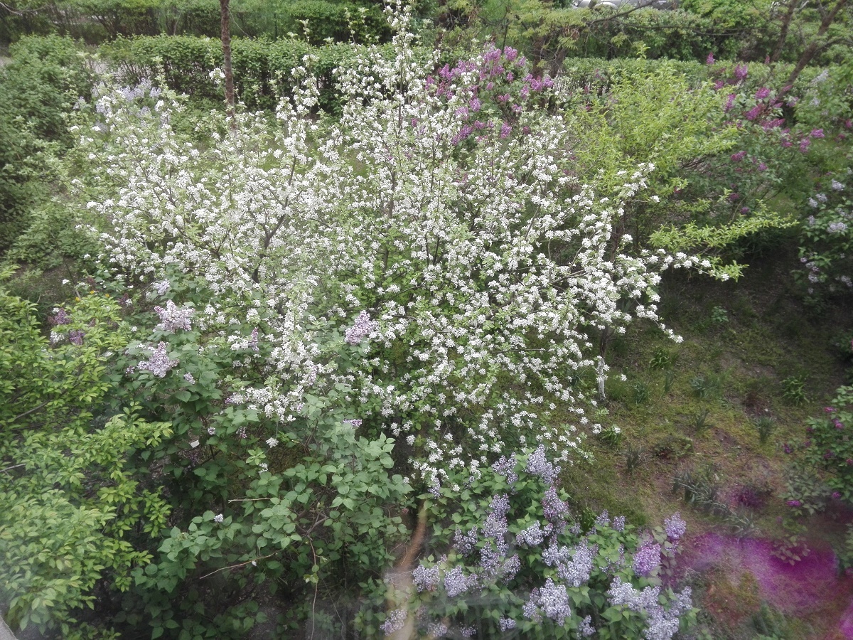 Vremea, 20/21 aprilie, în Oltenia (audio)