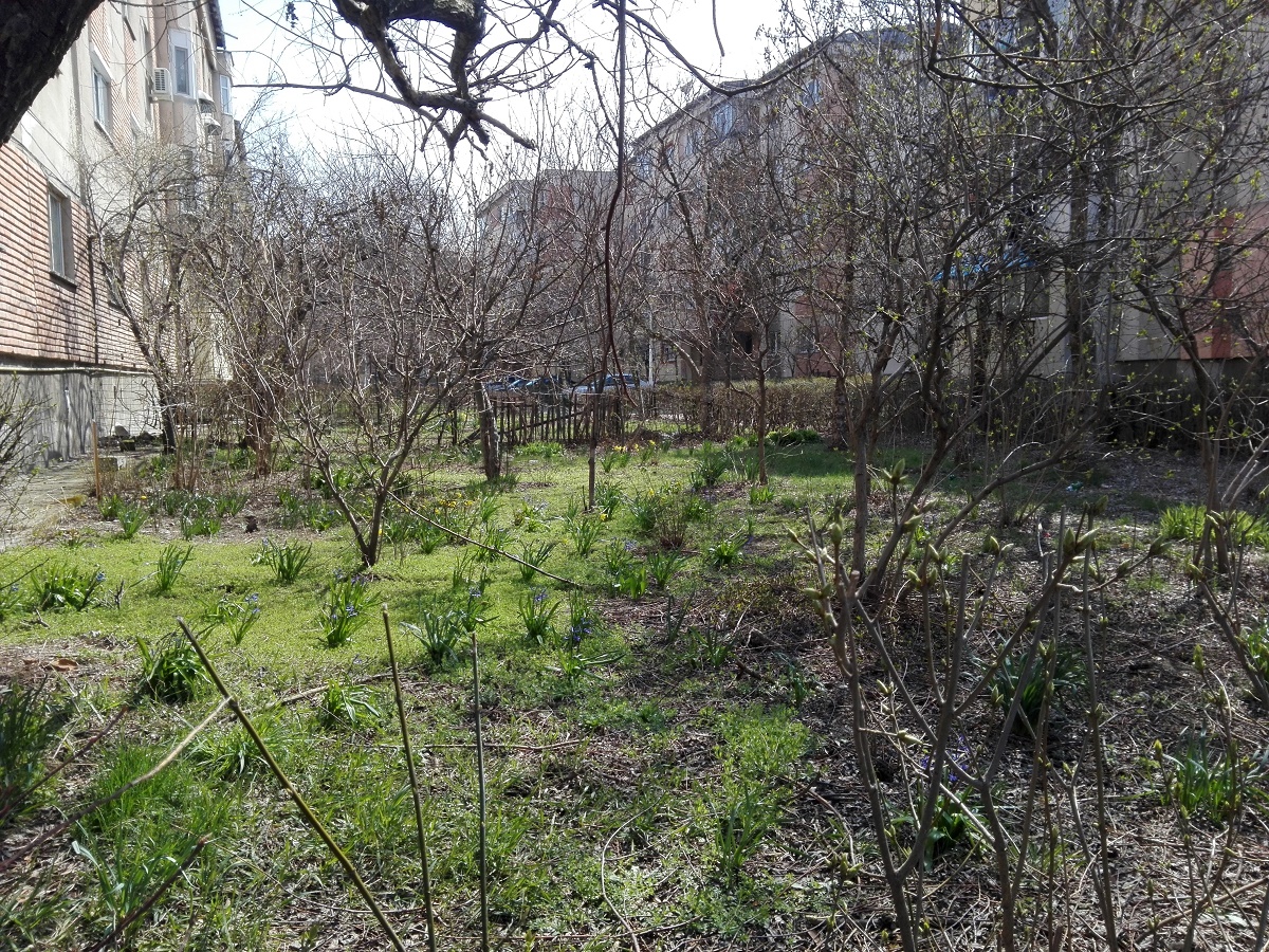 Azi despre ieri – 4 aprilie 2018