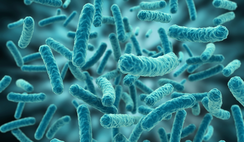 O nouă bacterie ”de coşmar” face ravagii în Statele Unite: este capabilă de răspândirea genelor care dau rezistenţă la antibiotice