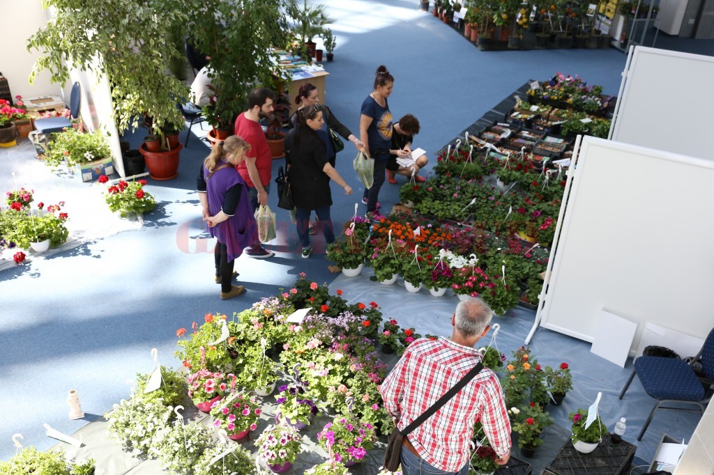 “Festivalul Primaverii” la Craiova