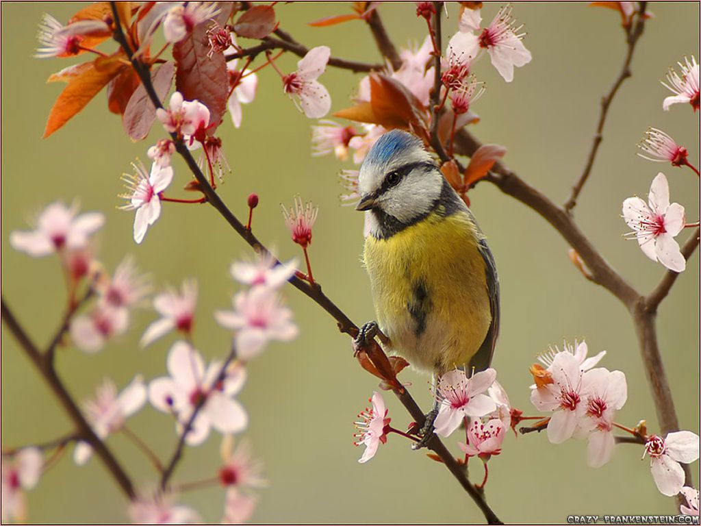 Prognoza meteo pentru 4 aprilie