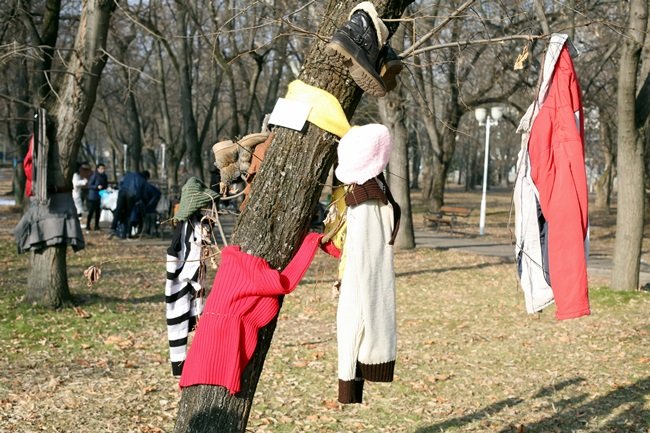 Copacul cu haine (audio)