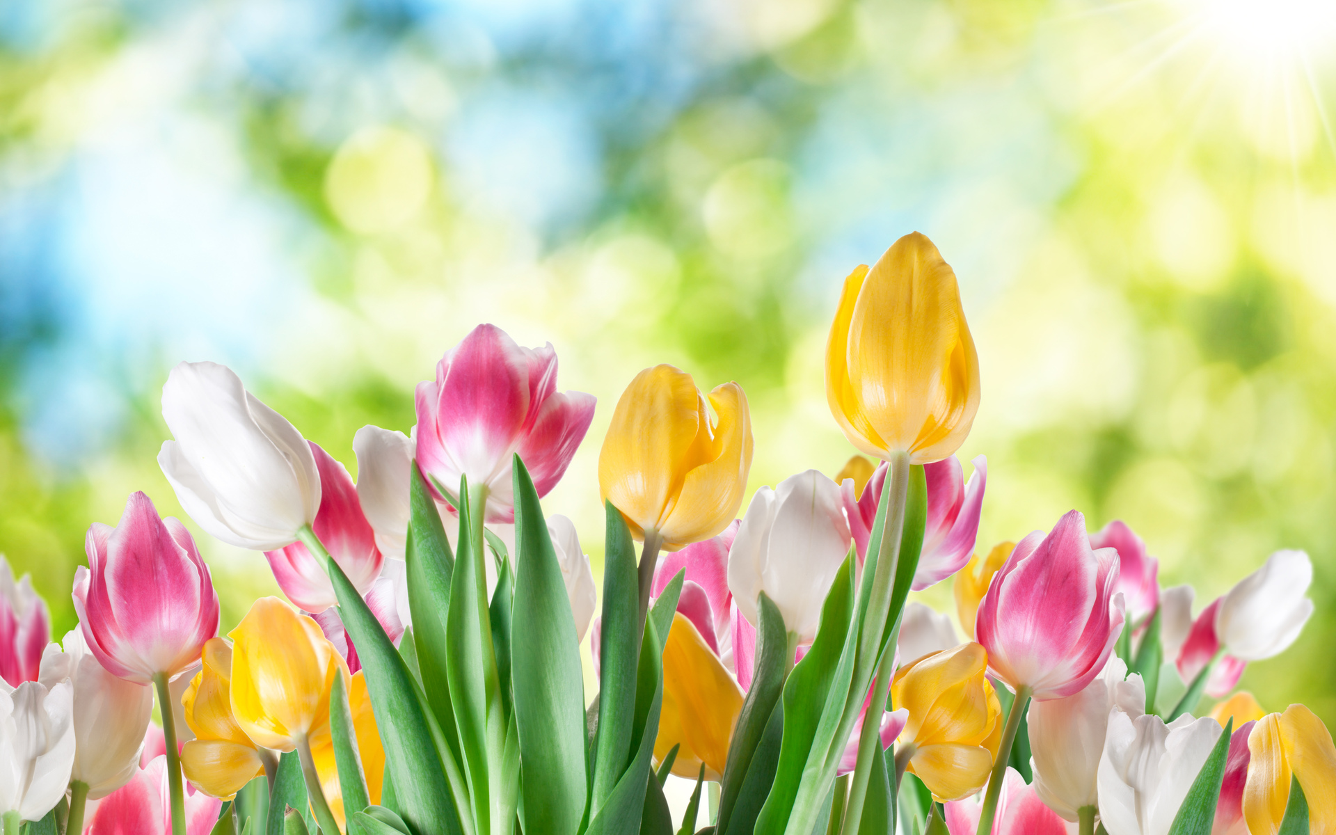 Prognoza meteo pentru 16 mai