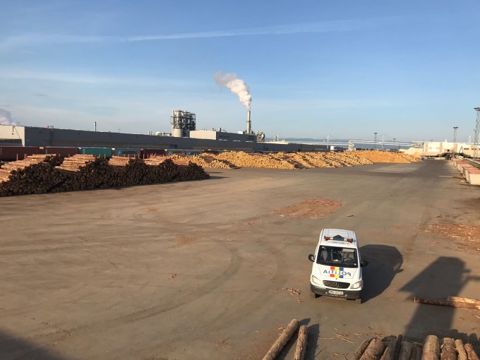 Percheziții DIICOT la cel mai mare exportator de lemn: Holzindustrie Schweighofer