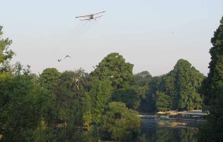 Craiova. A doua etapă de dezinsecție pe domeniul public