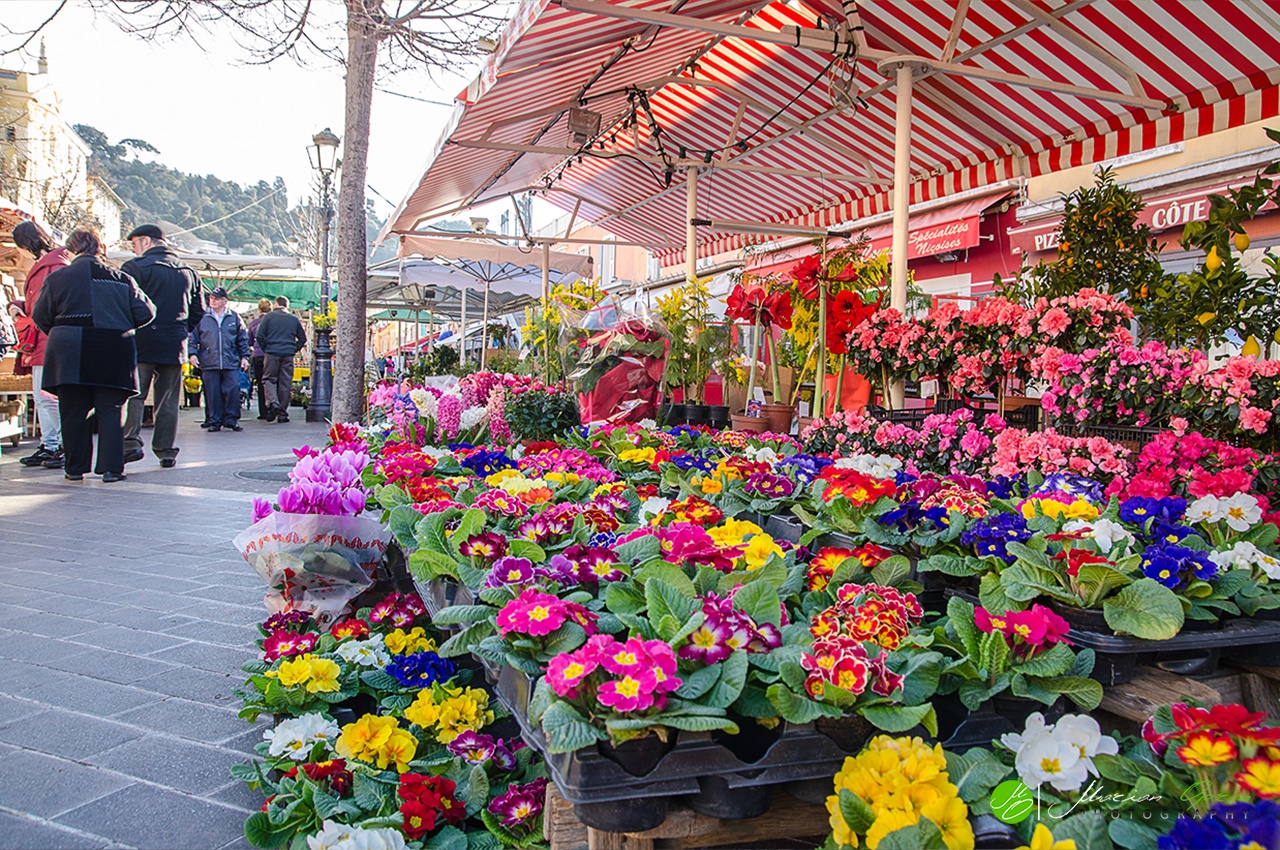 România a importat peste 88 300 de tone de flori