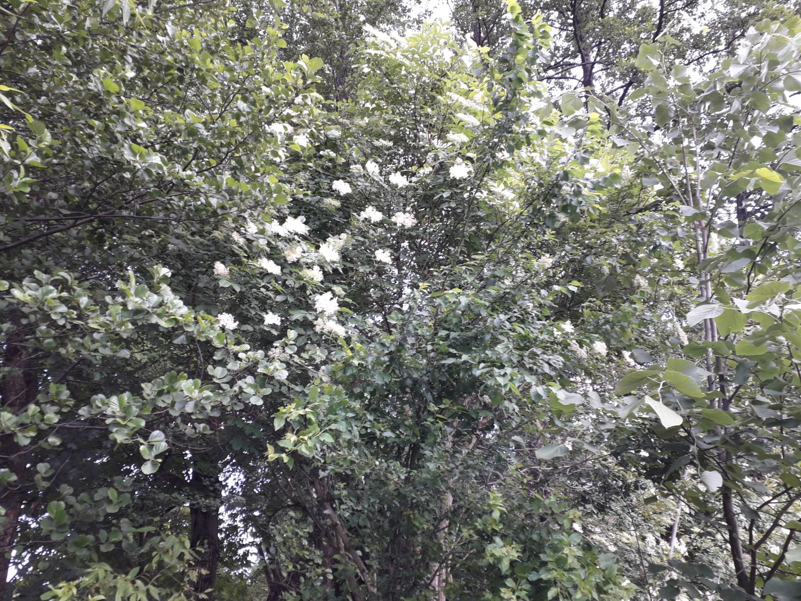 Azi despre ieri – 30 mai 2018