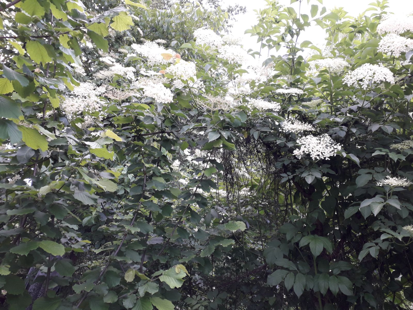 Azi despre ieri – 28 mai 2018