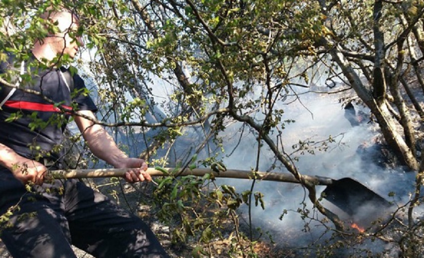 Incendiul din Domogled s-a extins