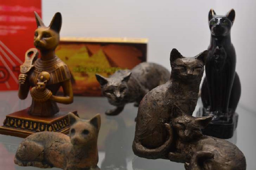 Cele mai frumoase muzee dedicate… pisicilor
