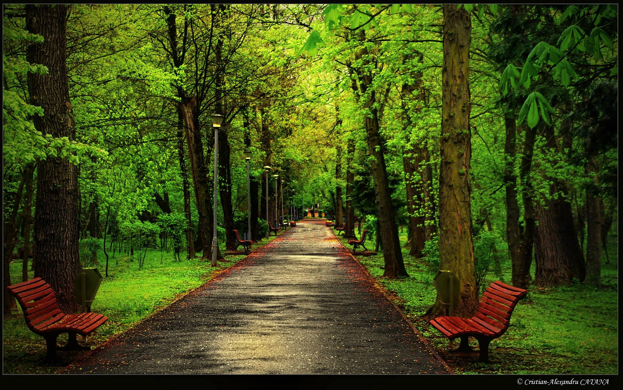 În Gorj, creşte numărul persoanelor înţepate de căpuşe