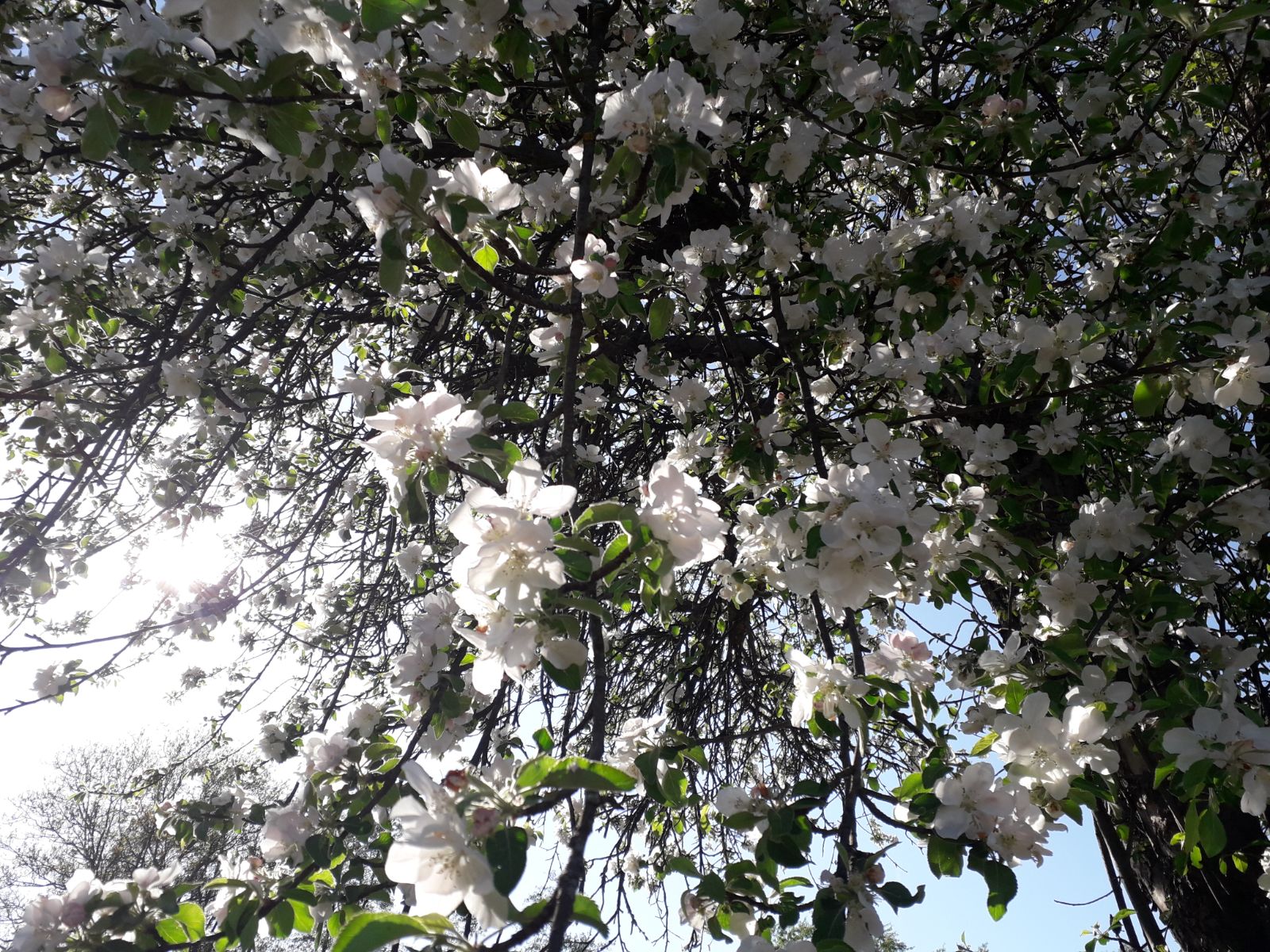 Vremea, miercuri, în Oltenia (audio)