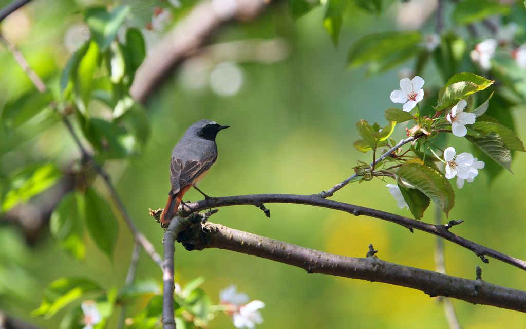 Prognoza meteo pentru 13 mai
