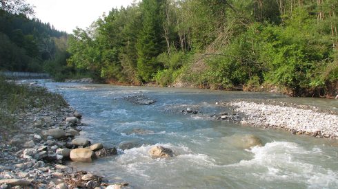 Consultare publică lansată de MAP