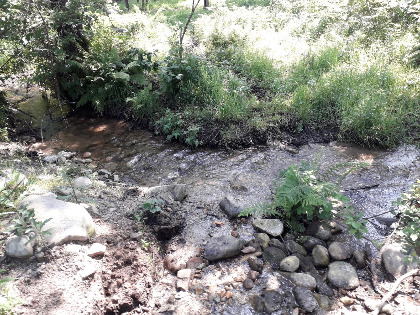 Azi despre ieri – 27 iunie 2018