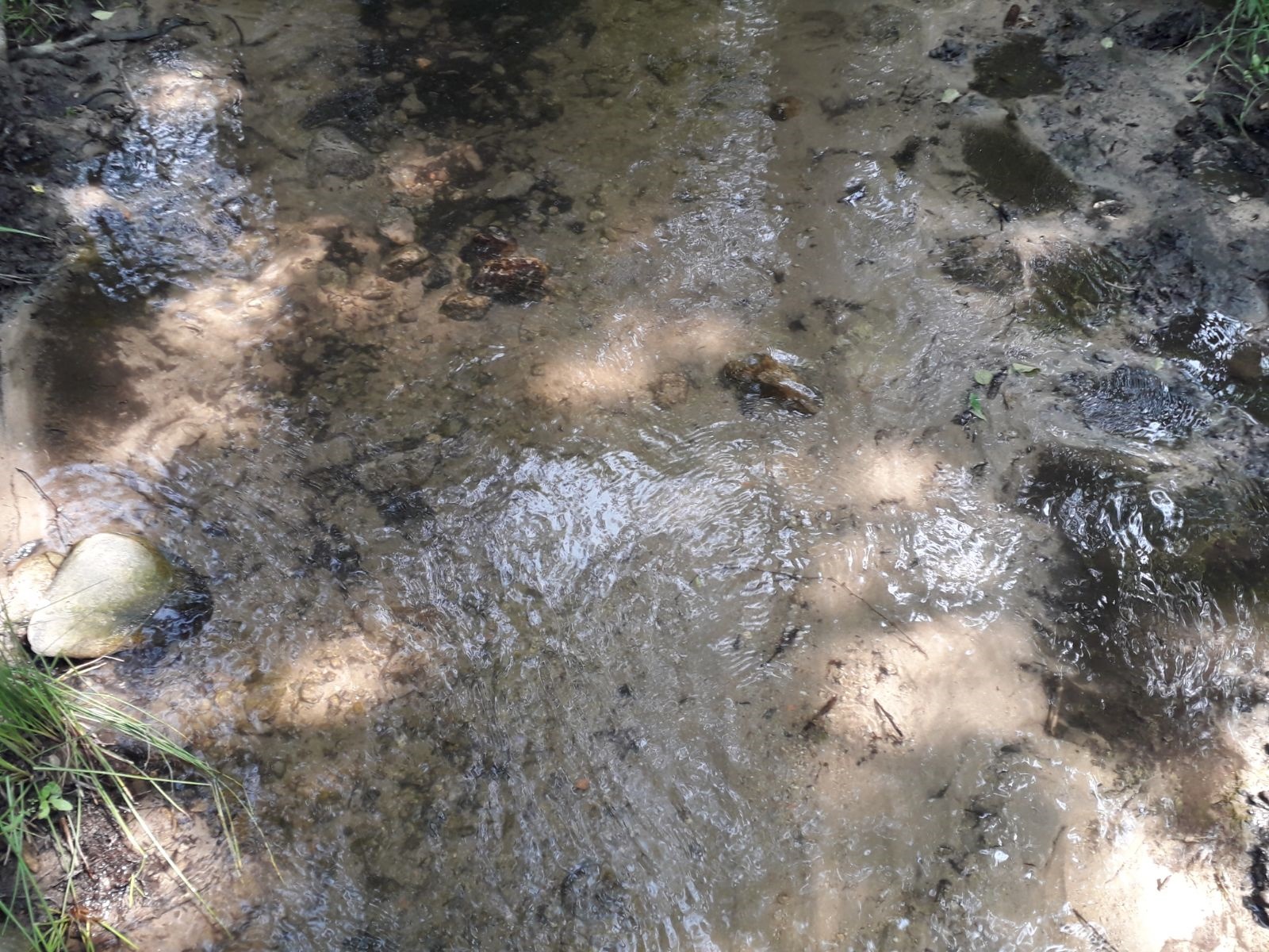 Azi despre ieri – 4 iulie 2018