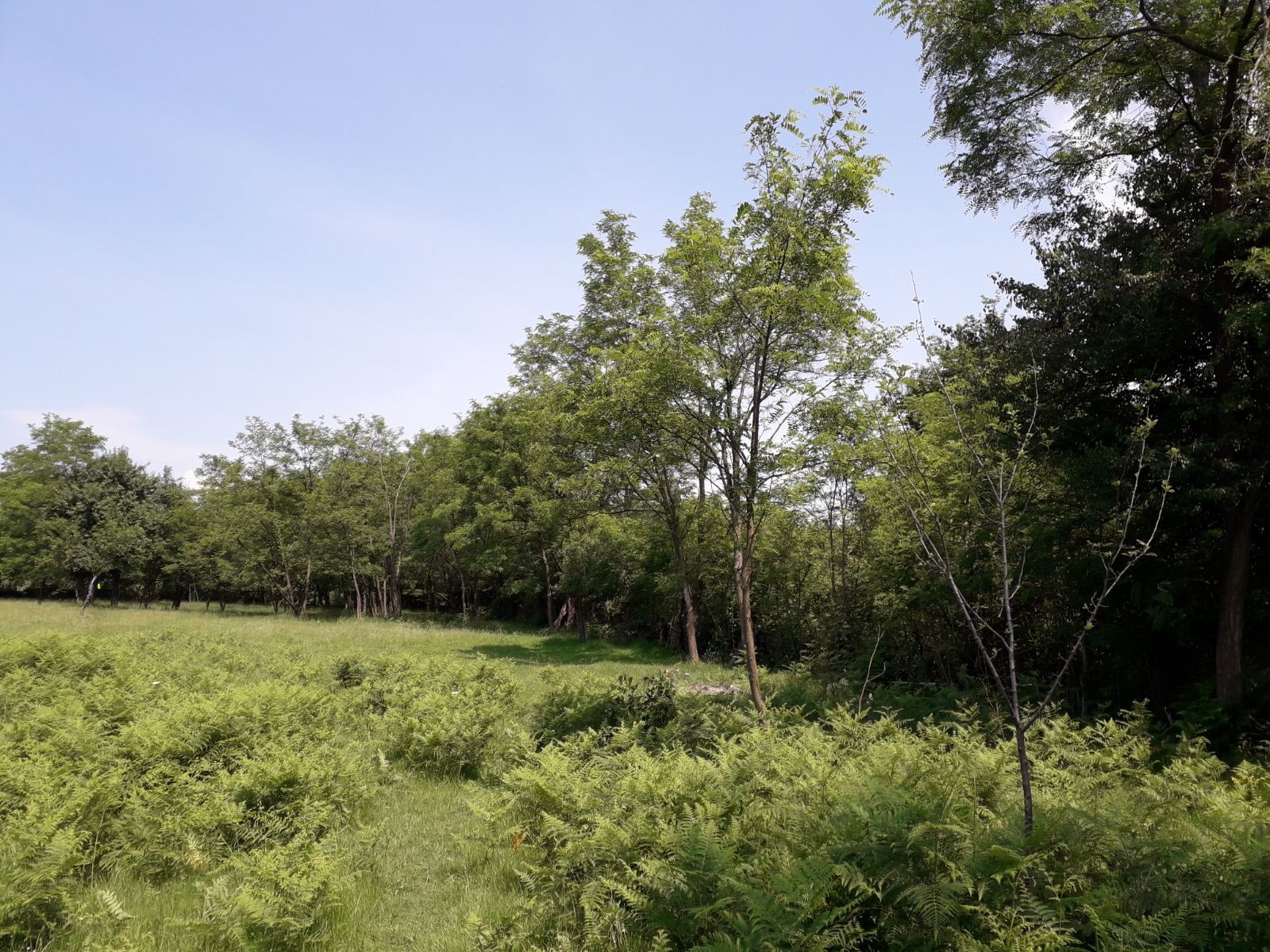 Azi despre ieri – 18 iunie 2018