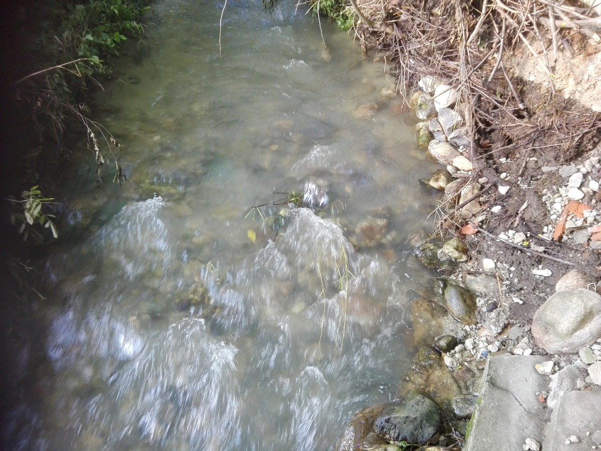 Azi despre ieri – 19 iunie 2018