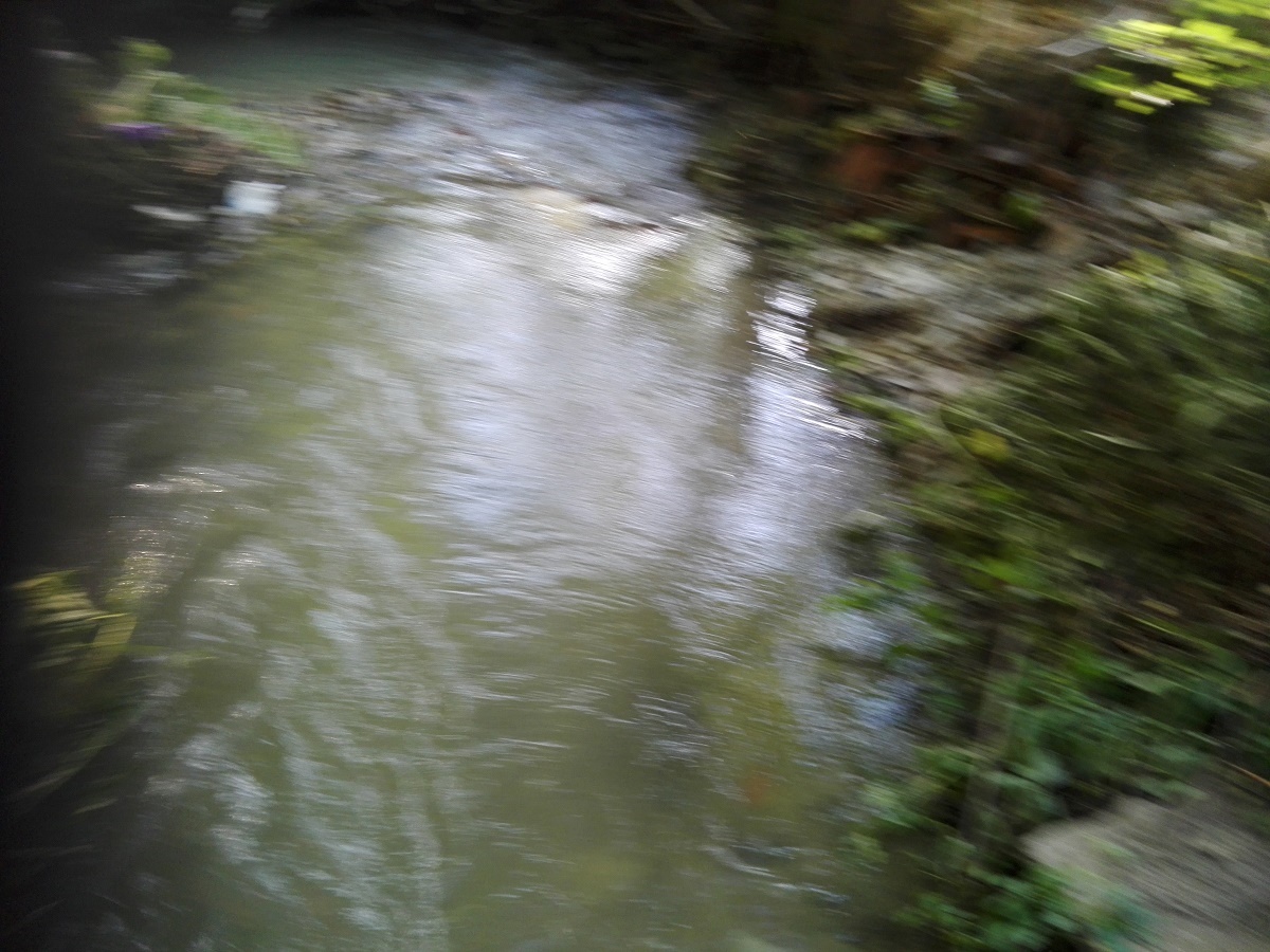 Azi despre ieri – 20 iunie 2018