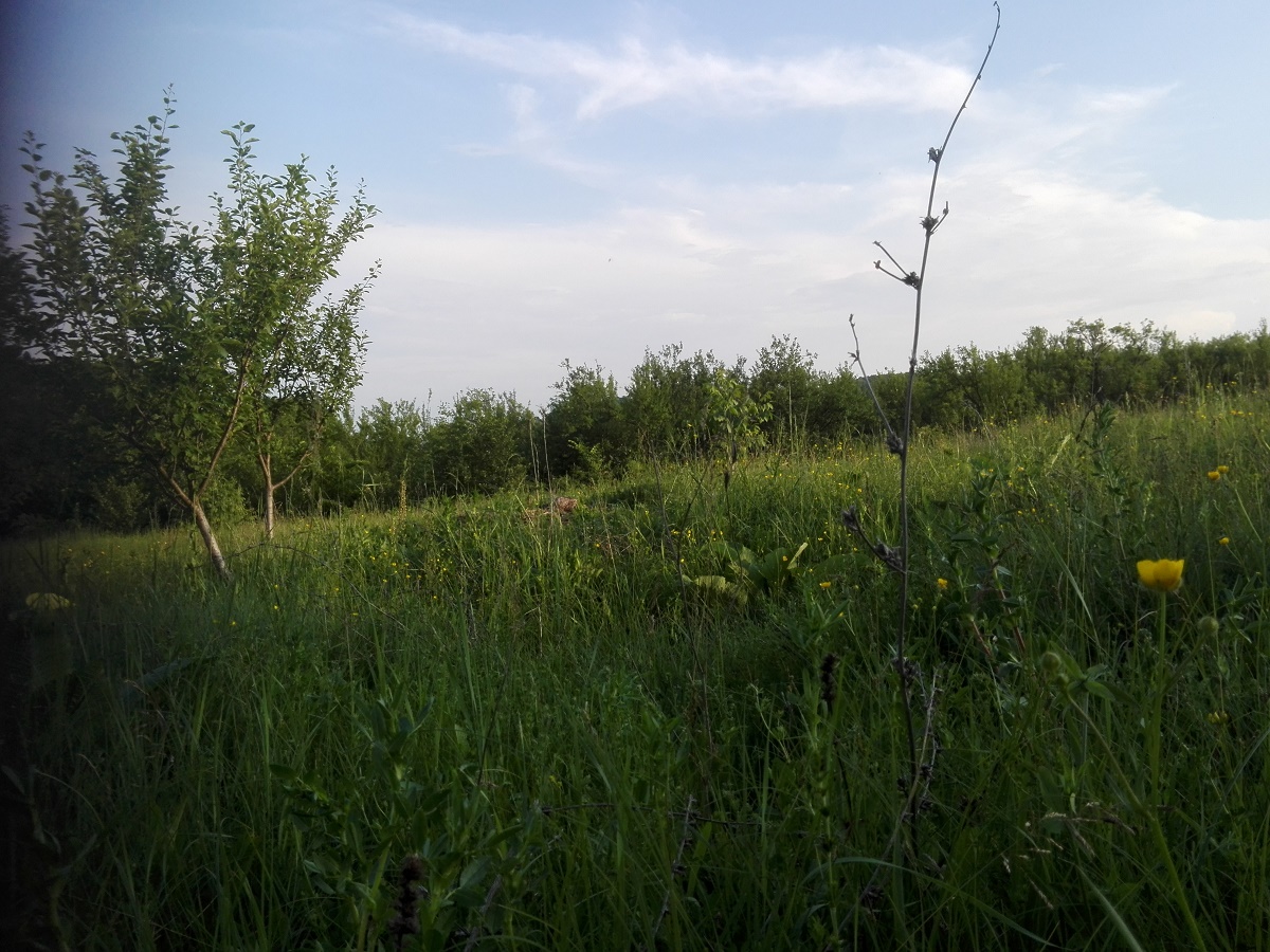 Azi despre ieri – 23 iunie 2018