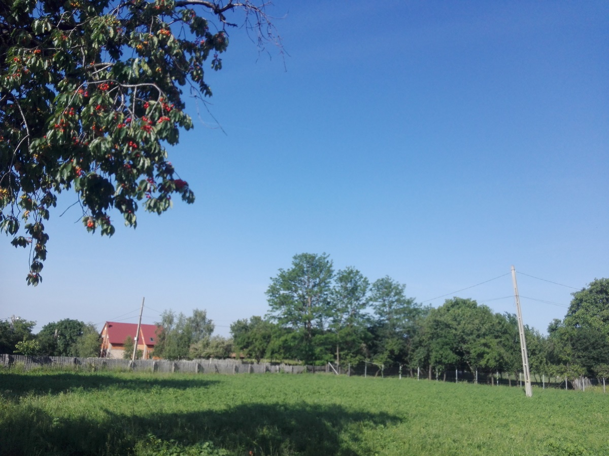 Azi despre ieri – 3 iulie 2018