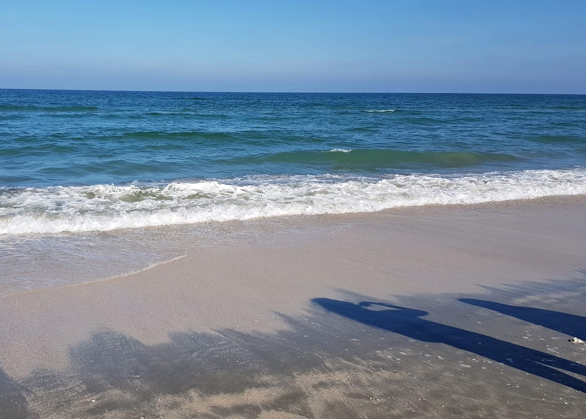 Azi despre ieri – 7 iunie 2018