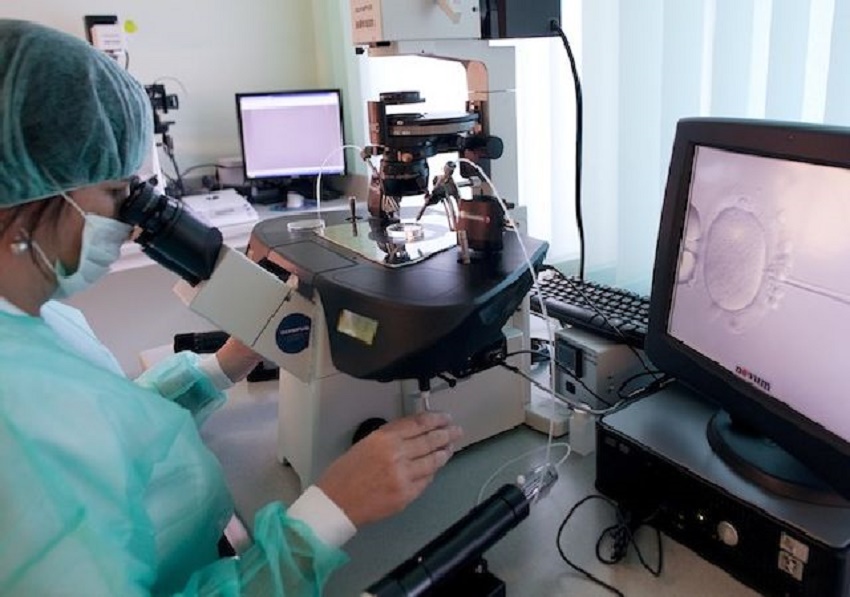 Lege privind reproducerea asistată (audio)