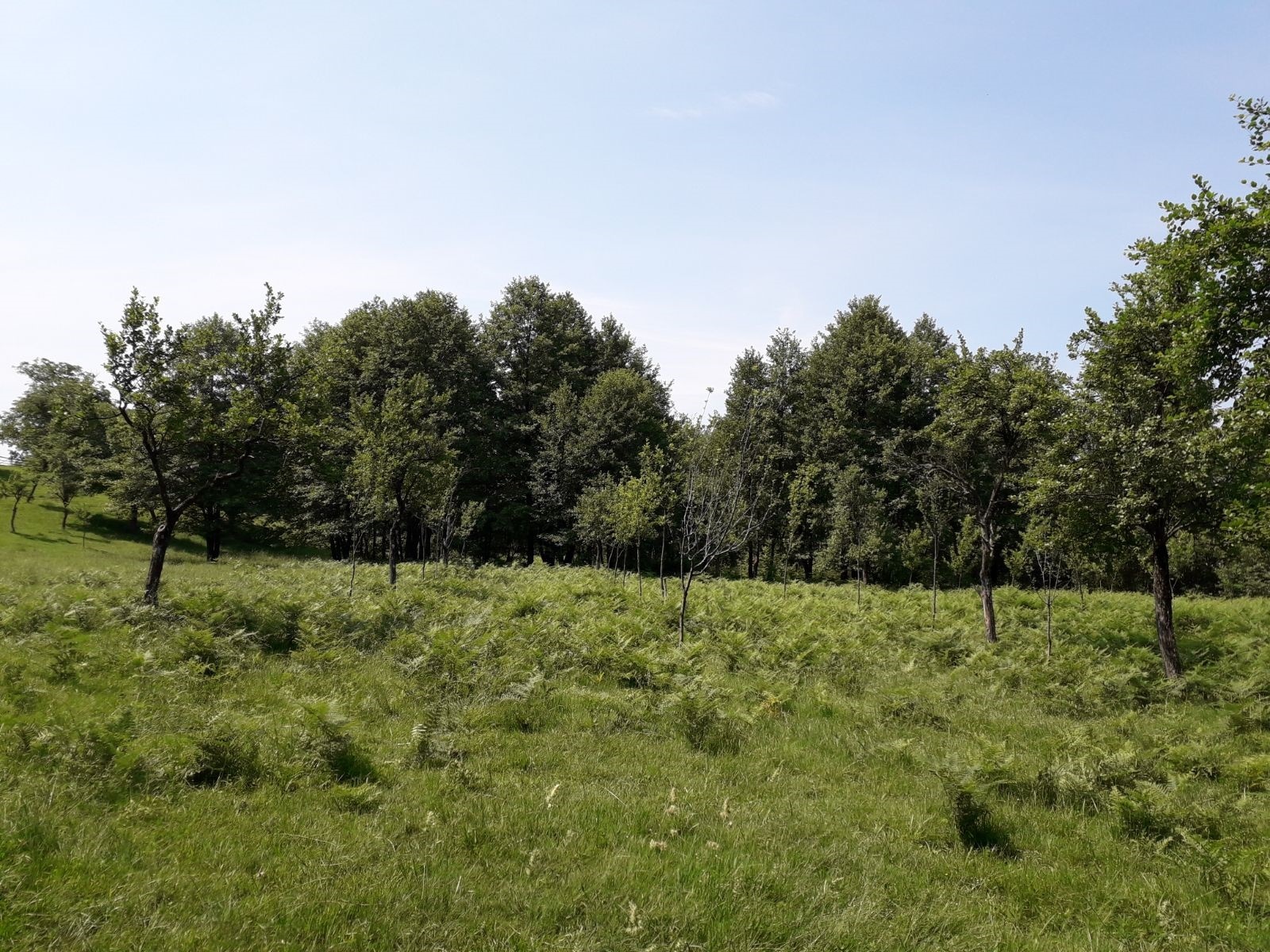 Azi despre ieri – 17 august 2018