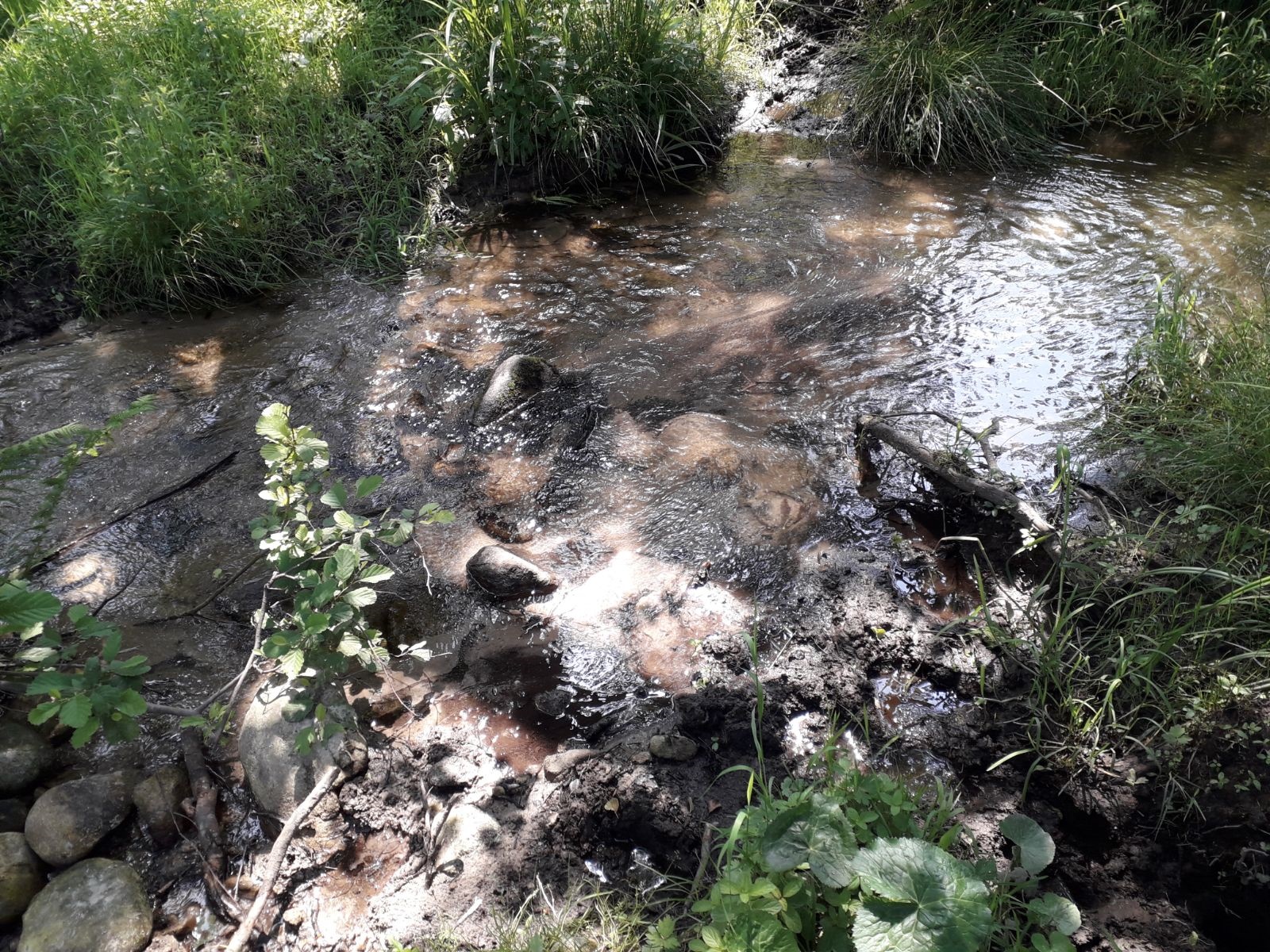 Azi despre ieri – 18 august 2018