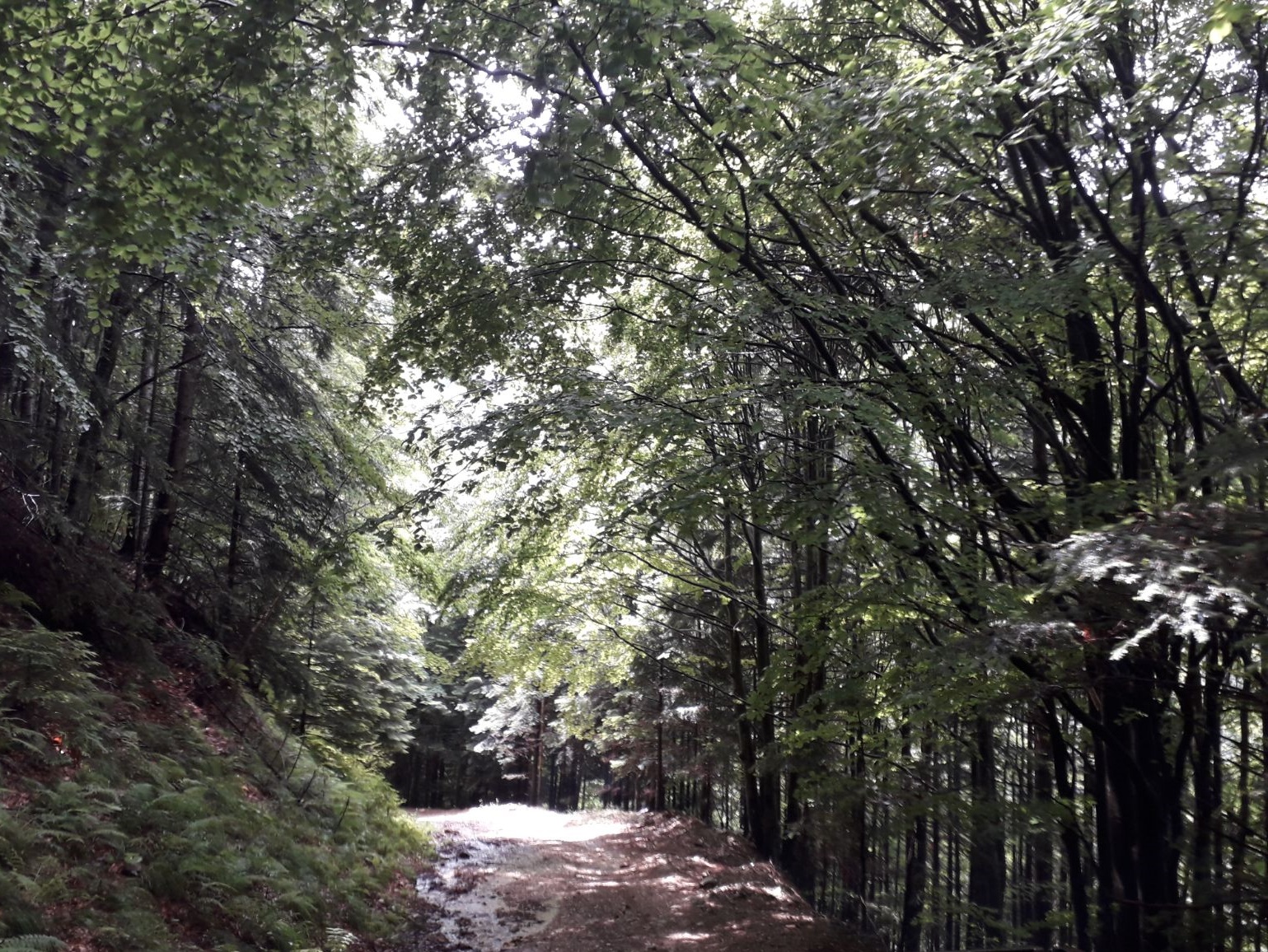 Azi despre ieri – 6 august 2018