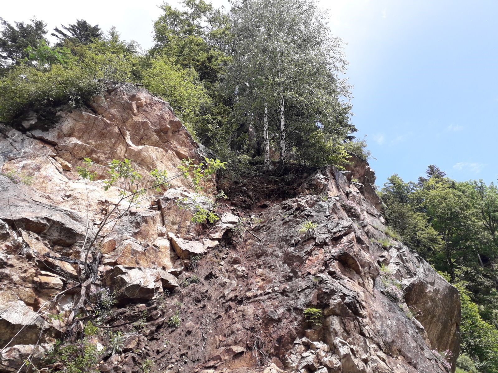 Azi despre ieri – 21 august 2018