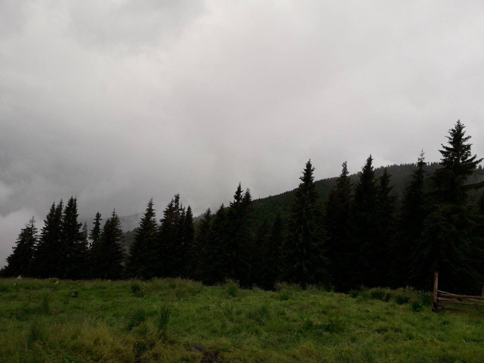 Azi despre ieri – 19 august