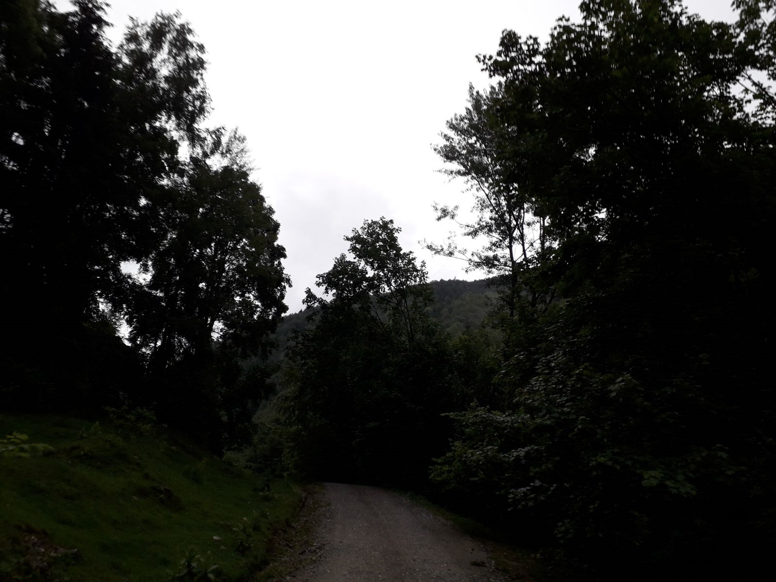 Azi despre ieri – 23 august 2018