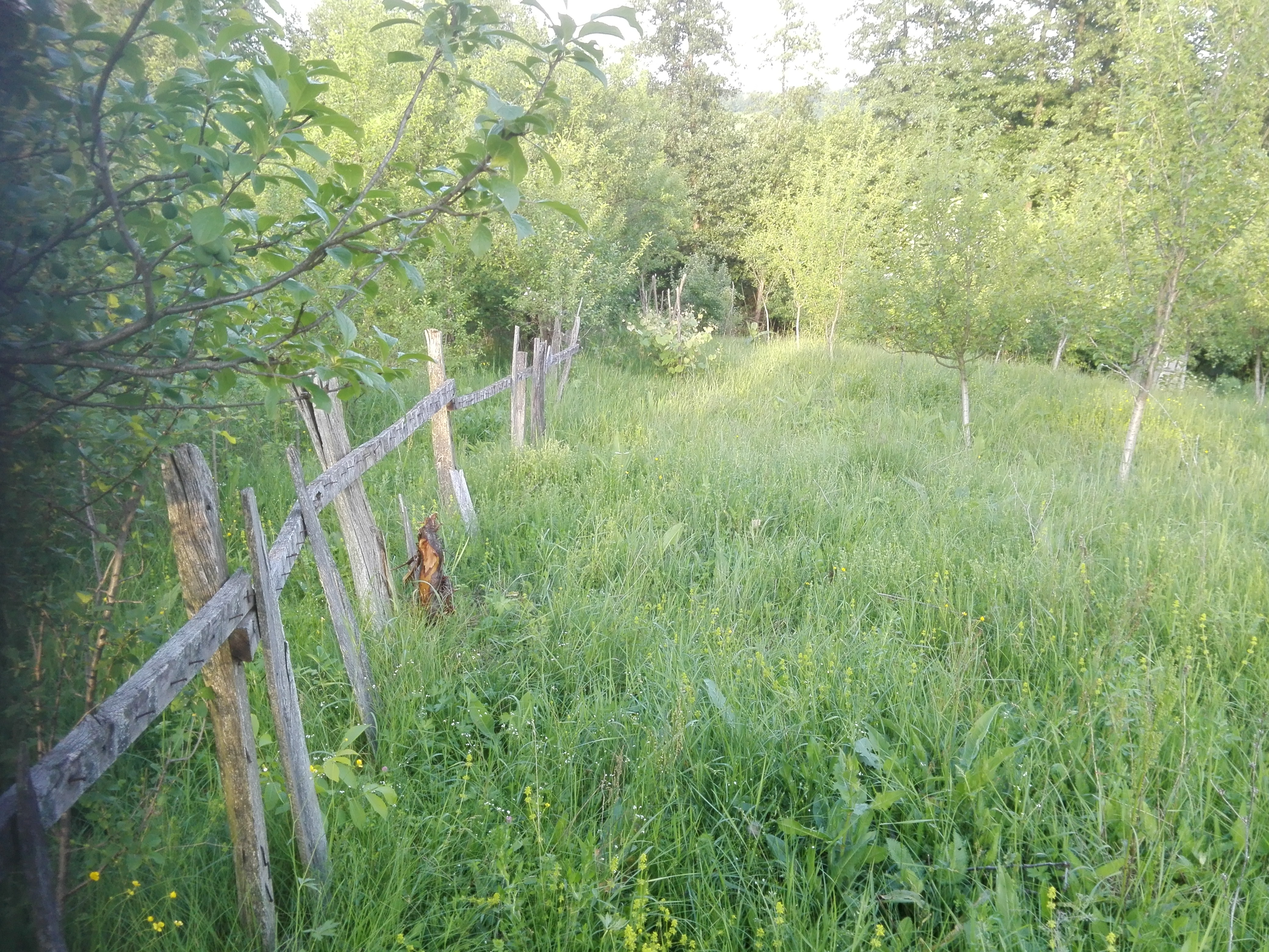 Azi despre ieri – 8 august 2018