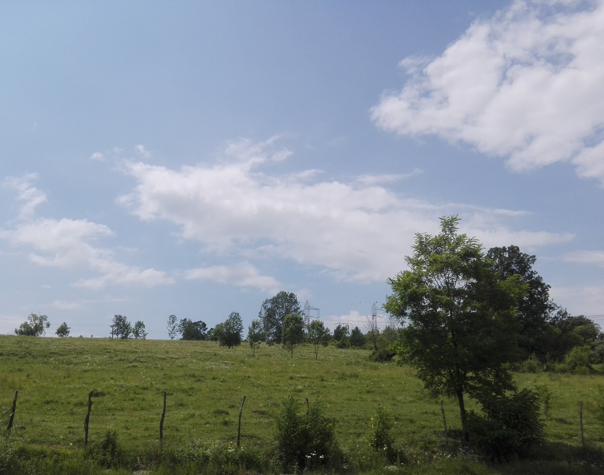 Azi despre ieri – 3 august 2018