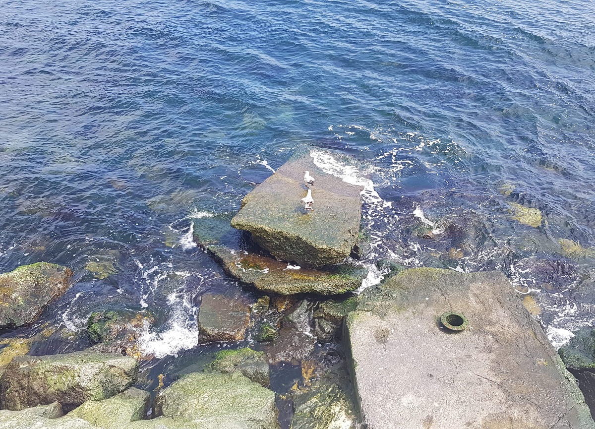 Azi despre ieri – 13 iulie 2018