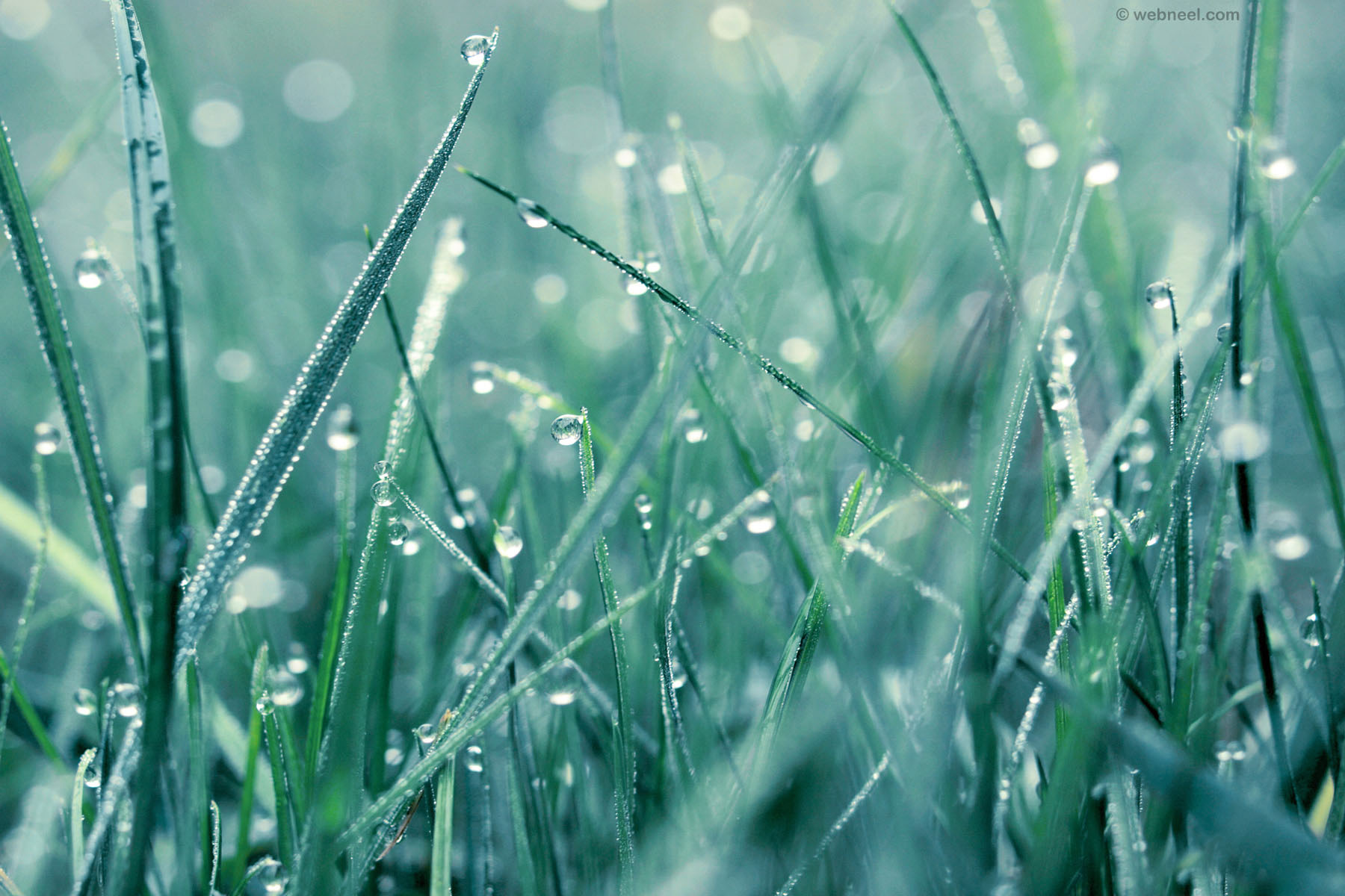 Cod portocaliu de vreme rea în Dobrogea și galben în jumătate de țară, miercuri