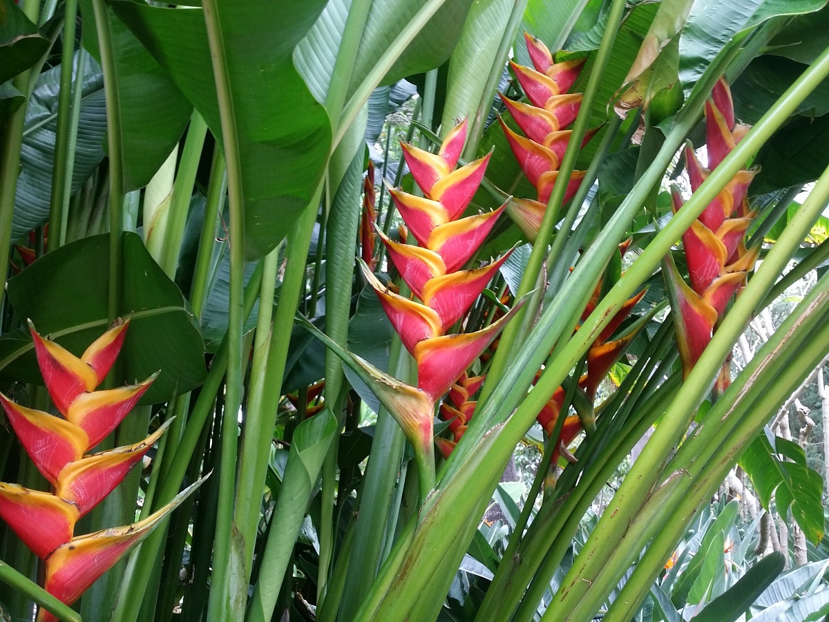 Azi despre ieri – 26 octombrie 2018