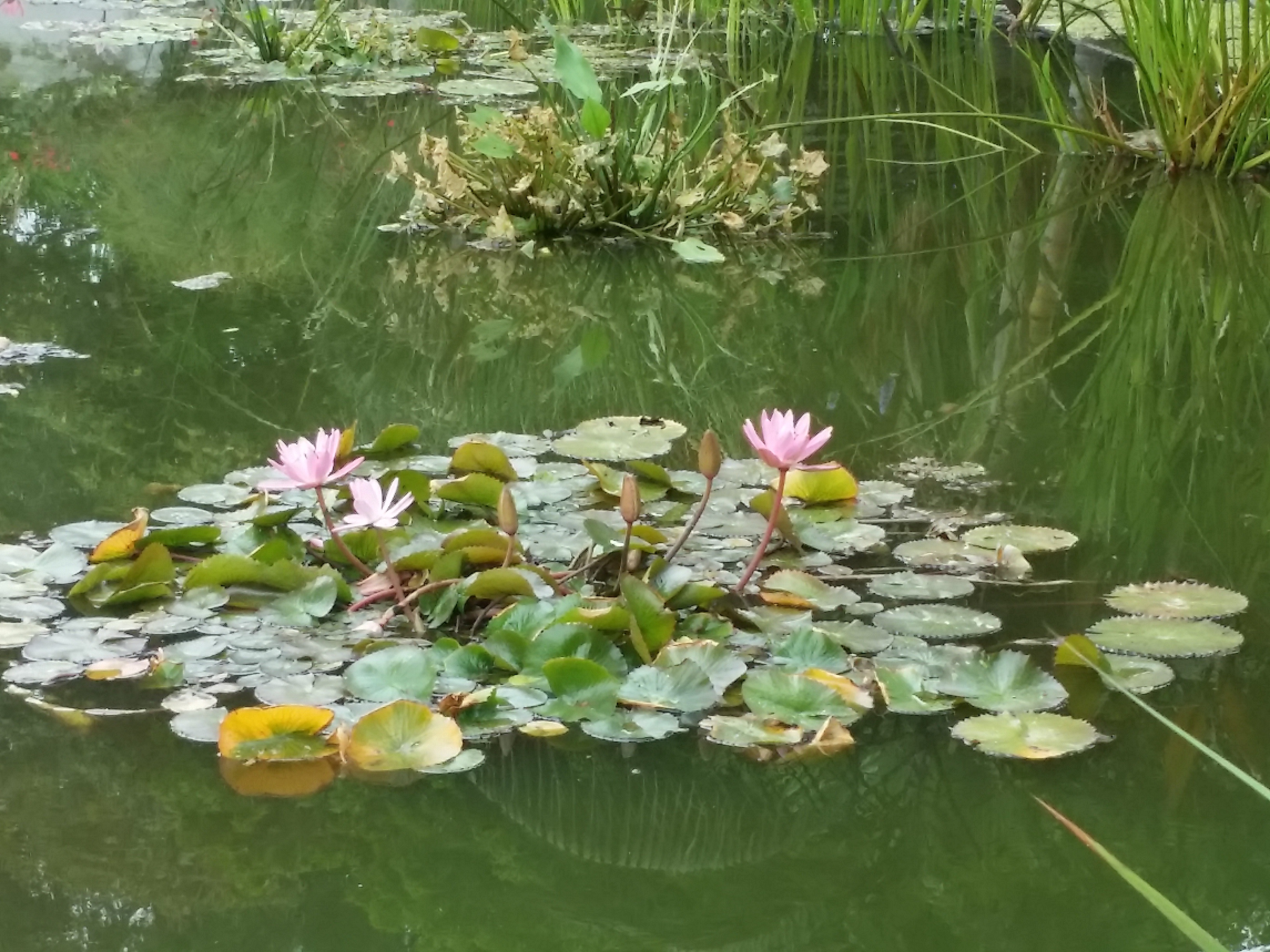 Azi despre ieri – 9 octombrie 2018