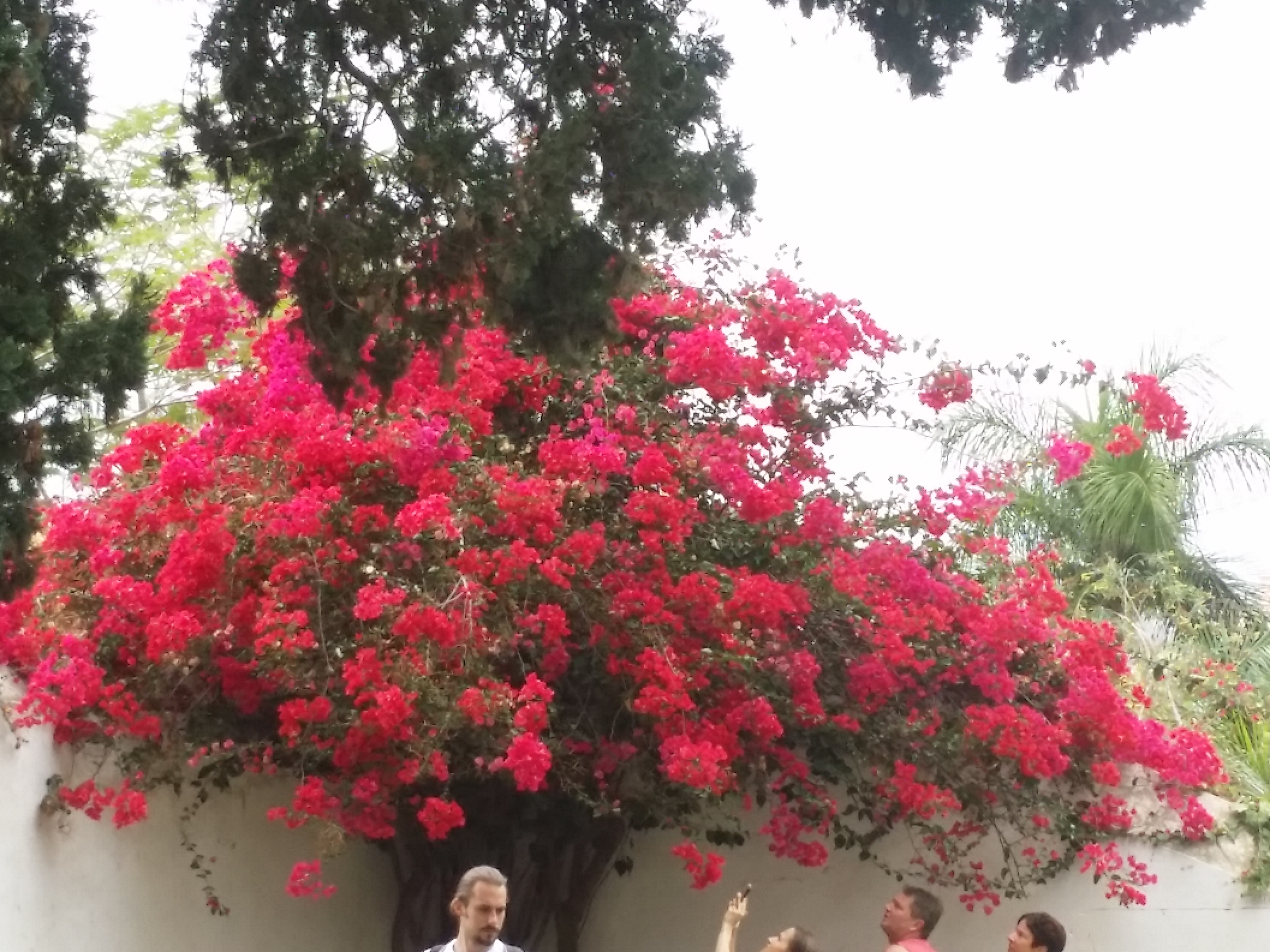 Azi despre ieri – 8 septembrie 2018