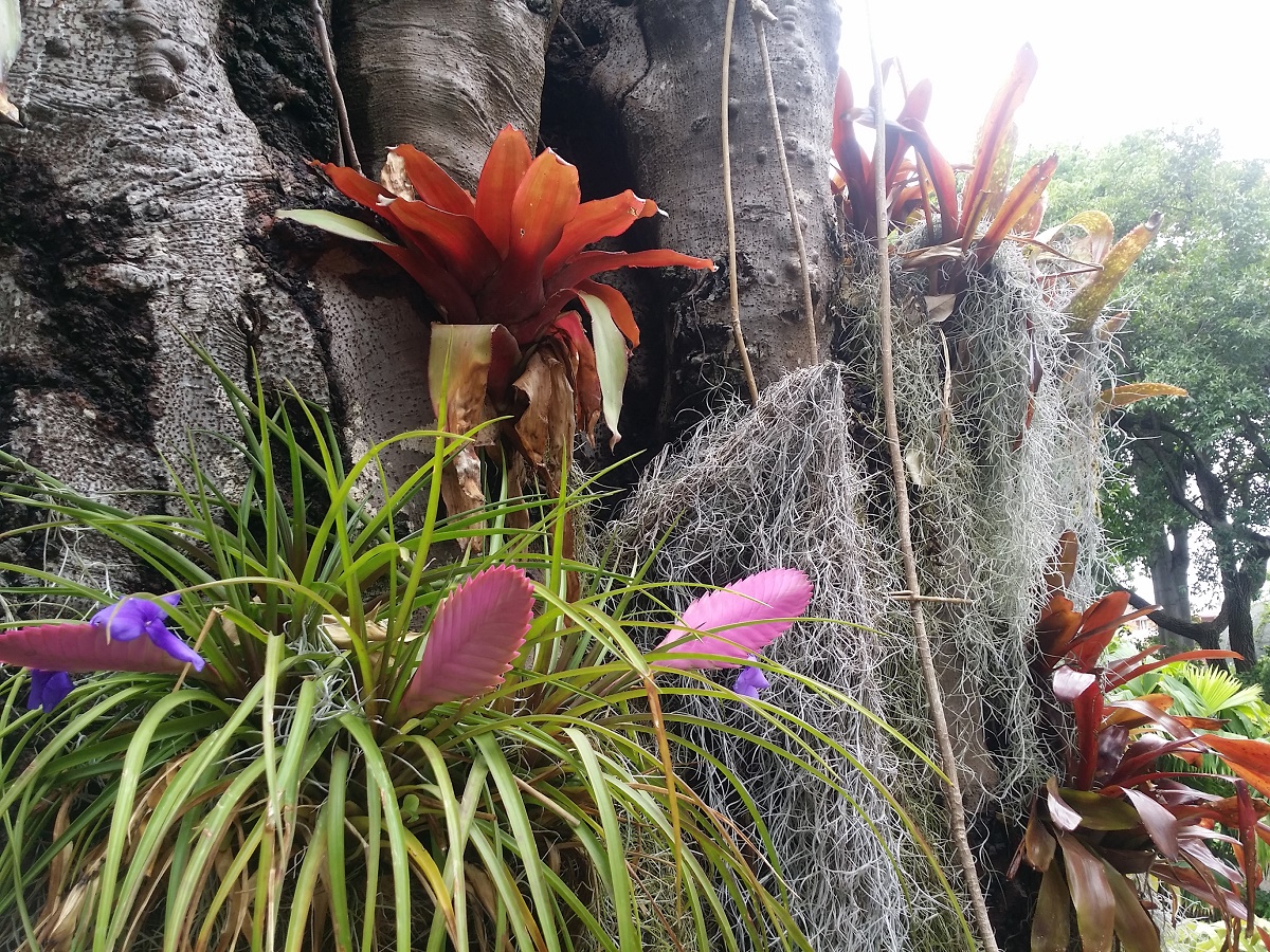 Azi despre ieri – 9 septembrie 2018