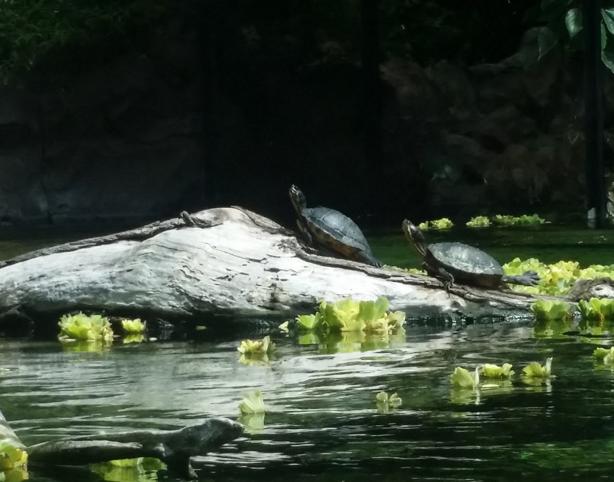 Azi despre ieri – 15 septembrie 2018