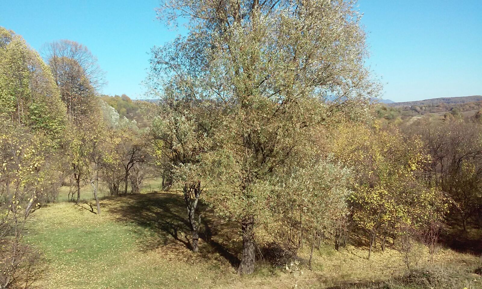 Azi despre ieri – 4 octombrie 2018