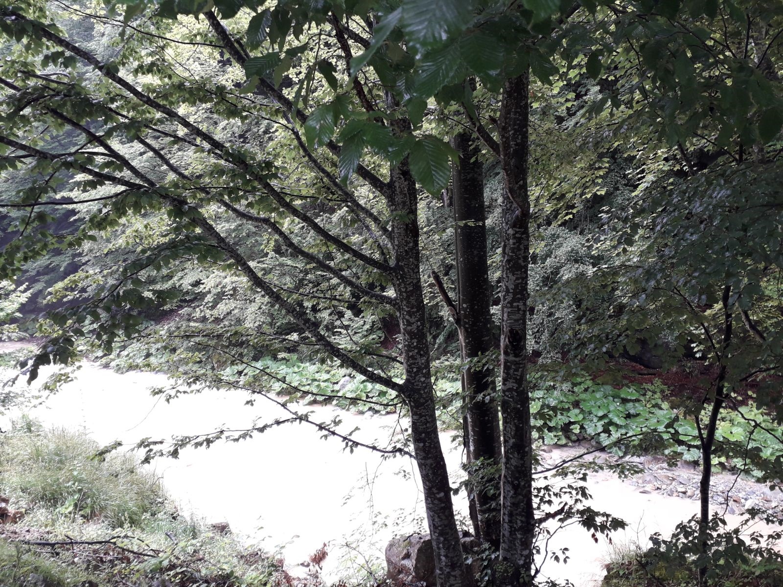 Azi despre ieri – 13 octombrie 2018